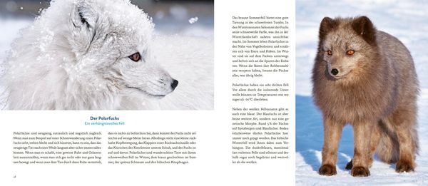 Produktbild: Spitzbergen
