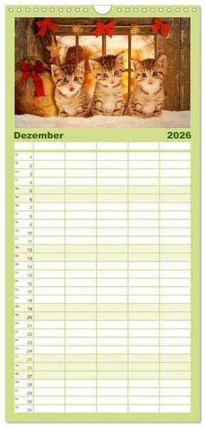 Produktbild: Familienplaner 2026 - K&auml;tzchen 2026 mit 5 Spalten (Wandkalender, 21 x 45 cm) CALVENDO