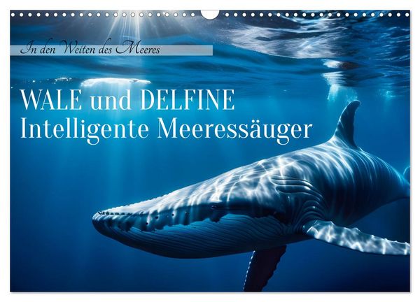 Produktbild: Wale und Delfine - Intelligente Meeress&auml;uger (Wandkalender 2026 DIN A3 quer), CALVENDO Monatskalender