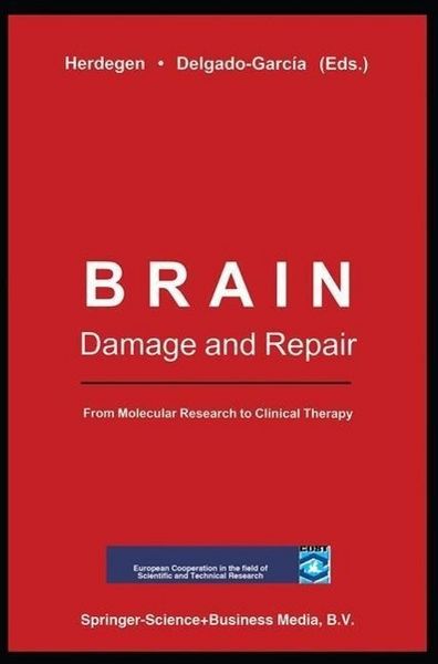 Produktbild: Brain Damage and Repair