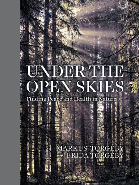 Produktbild: Under the Open Skies