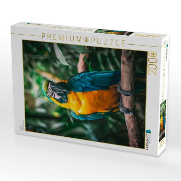 Produktbild: CALVENDO Puzzle Papagei | 2000 Teile Lege-Gr&ouml;&szlig;e 90x67cm Foto-Puzzle f&uuml;r gl&uuml;ckliche Stunden