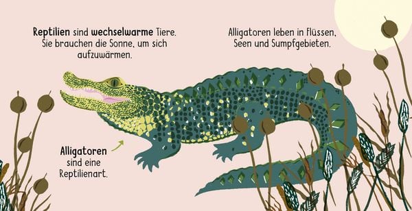 Produktbild: 50 W&ouml;rter &uuml;ber die Natur - Tiere