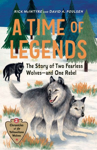 Produktbild: A Time of Legends