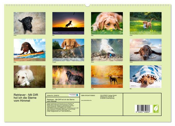 Produktbild: Retriever - Mit DIR hol ich die Sterne vom Himmel (hochwertiger Premium Wandkalender 2026 DIN A2 quer), Kunstdruck in Hochglanz