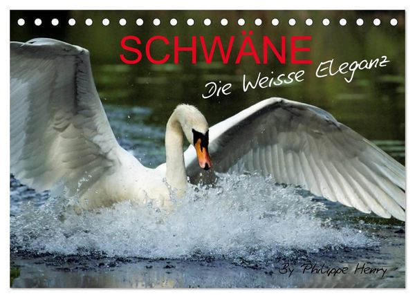 SCHWÄNE. (Tischkalender 2026 DIN A5 quer), CALVENDO Monatskalender