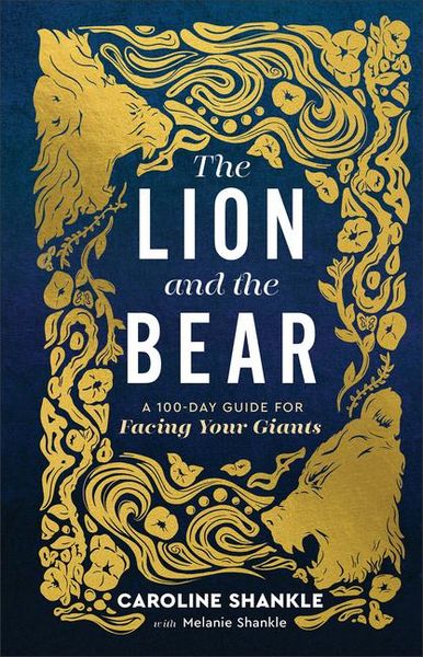 Produktbild: The Lion and the Bear
