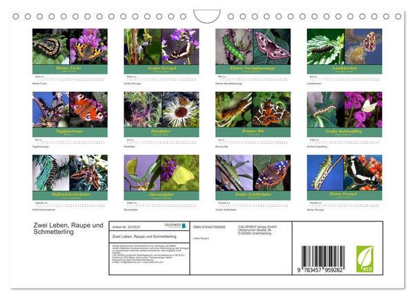 Produktbild: Zwei Leben, Raupe und Schmetterling (Wandkalender 2026 DIN A4 quer), CALVENDO Monatskalender