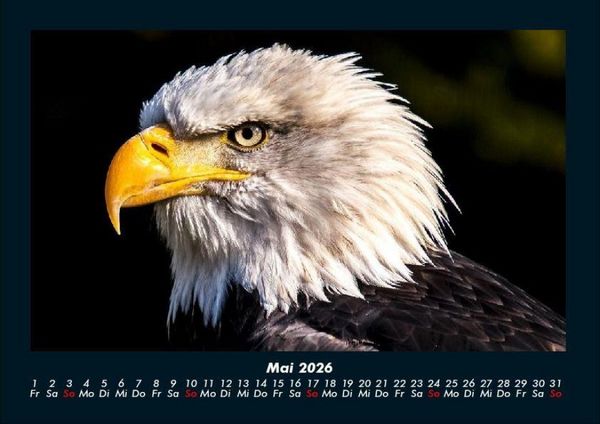 Produktbild: Adler 2026 Fotokalender DIN A4