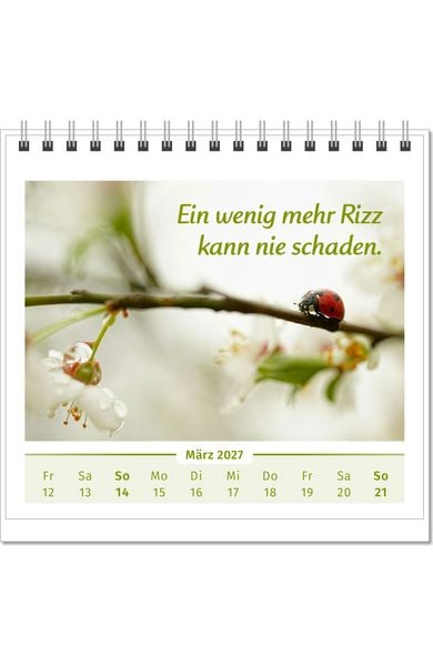 Produktbild: Der Lebensfreude-Tischkalender 2027