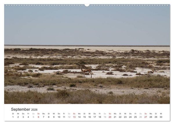 Produktbild: Namibia - Landschaftseindr&uuml;cke (Wandkalender 2026 DIN A2 quer), CALVENDO Monatskalender