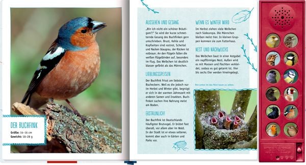 Produktbild: V&ouml;gel in unserem Garten