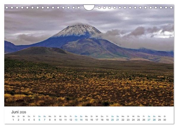 Produktbild: Vielfalt Neuseeland (Wandkalender 2026 DIN A4 quer), CALVENDO Monatskalender