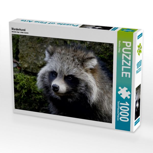 Produktbild: CALVENDO Puzzle Marderhund | 1000 Teile Lege-Gr&ouml;&szlig;e 64x48cm Foto-Puzzle f&uuml;r gl&uuml;ckliche Stunden