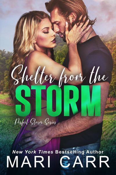 Produktbild: Shelter from the Storm (Perfect Storm, #2)
