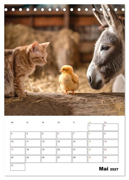 Produktbild: Ein Herz und eine Schnauze - Ein tierisch buntes Miteinander (Tischkalender 2027 DIN A5 hoch), CALVENDO Monatskalender