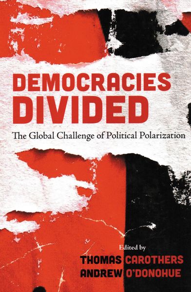 Produktbild: Democracies Divided