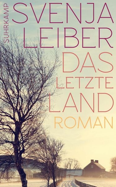 Produktbild: Das letzte Land