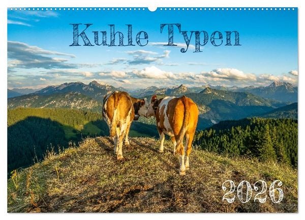 Kuhle Typen (Wandkalender 2026 DIN A2 quer), CALVENDO Monatskalender