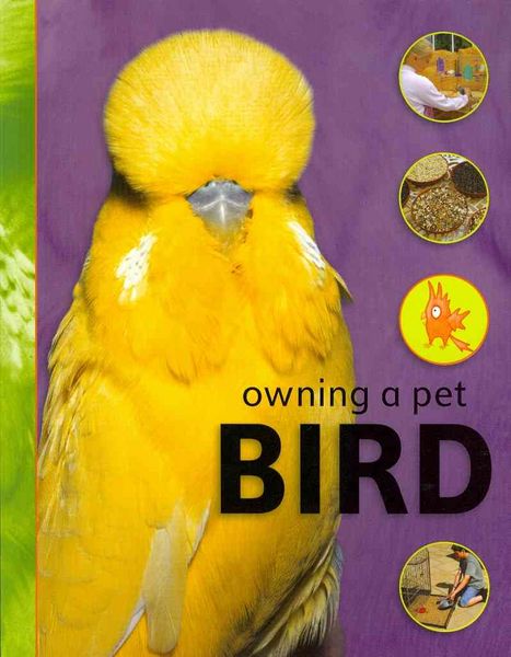 Produktbild: Glover, D: Bird