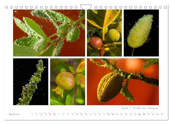 Produktbild: Sehnsucht Provence - Land des Lichts (Wandkalender 2026 DIN A4 quer), CALVENDO Monatskalender