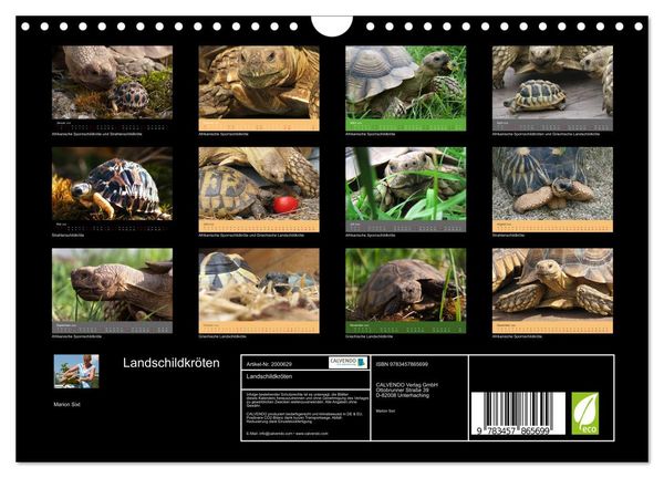 Produktbild: Landschildkr&ouml;ten (Wandkalender 2026 DIN A4 quer), CALVENDO Monatskalender