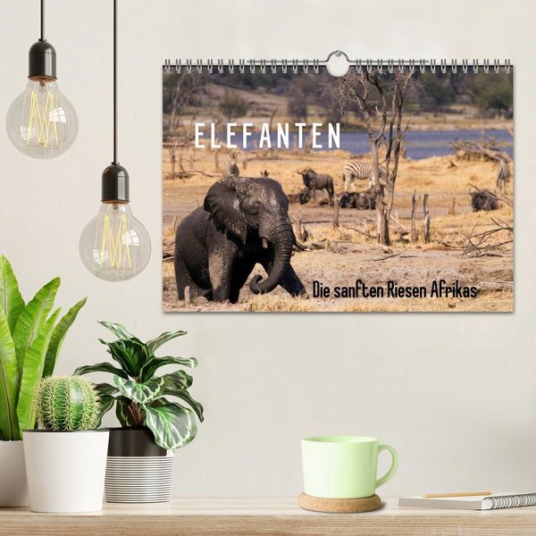Produktbild: Elefanten - Die sanften Riesen Afrikas (Wandkalender 2027 DIN A4 quer), CALVENDO Monatskalender