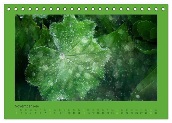 Produktbild: 12 Farben (Tischkalender 2026 DIN A5 quer), CALVENDO Monatskalender