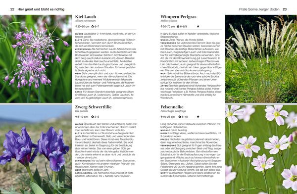 Produktbild: Welche Pflanze passt wohin im Naturgarten?