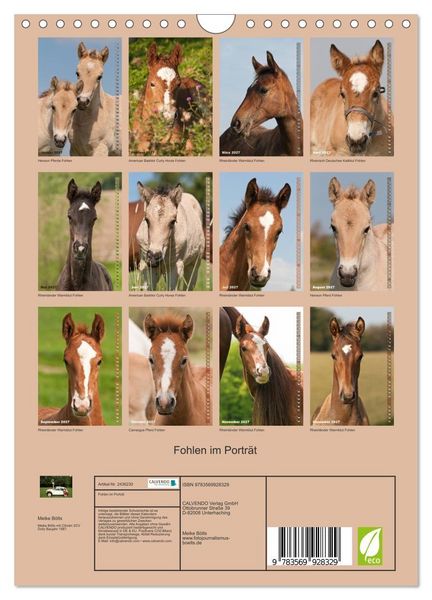 Produktbild: Fohlen im Portr&auml;t (Wandkalender 2027 DIN A4 hoch), CALVENDO Monatskalender