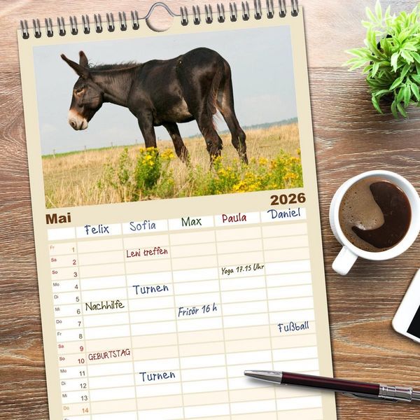 Produktbild: Familienplaner 2026 - Esel - Sixtus Loreley mit 5 Spalten (Wandkalender, 21 x 45 cm) CALVENDO
