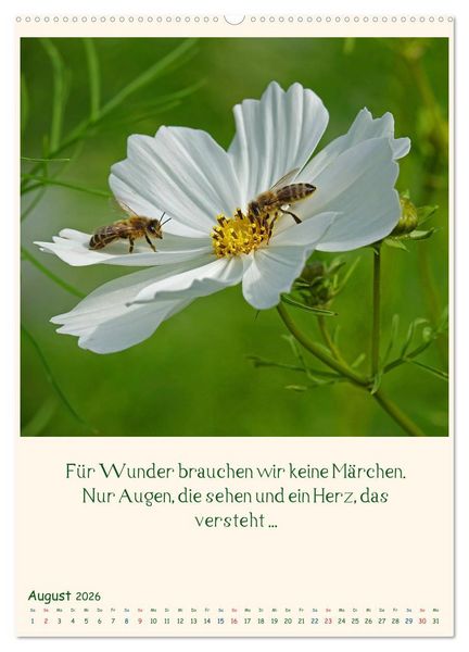 Produktbild: Mit Blumen durchs Jahr (hochwertiger Premium Wandkalender 2026 DIN A2 hoch), Kunstdruck in Hochglanz