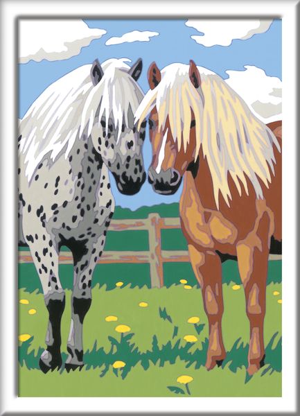 Glückliche Pferde, - kaufen Spielwaren Ravensburger Malen nach Zahlen, Malset\'