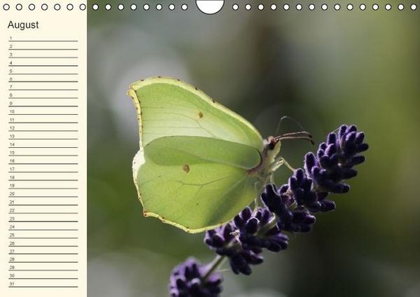 Produktbild: Geburtstagskalender "Nette Kleinigkeiten" (Wandkalender immerw&auml;hrend DIN A4 quer)