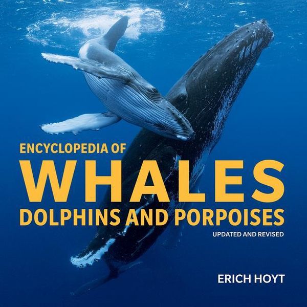 Produktbild: Encyclopedia of Whales, Dolphins and Porpoises