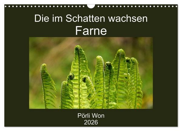 Produktbild: Die im Schatten wachsen - Farne (Wandkalender 2026 DIN A3 quer), CALVENDO Monatskalender