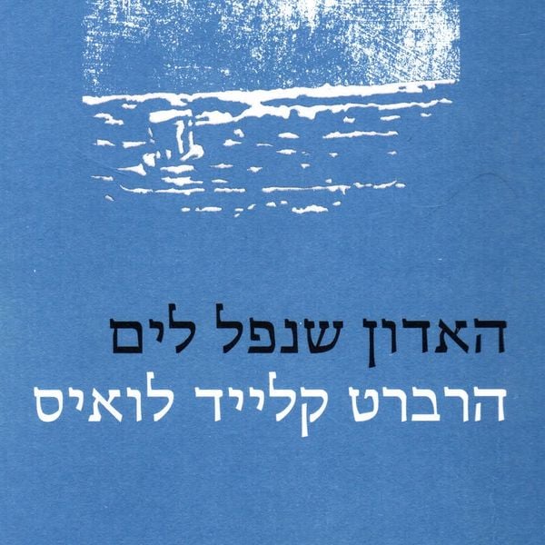Produktbild: האדון שנפל לים