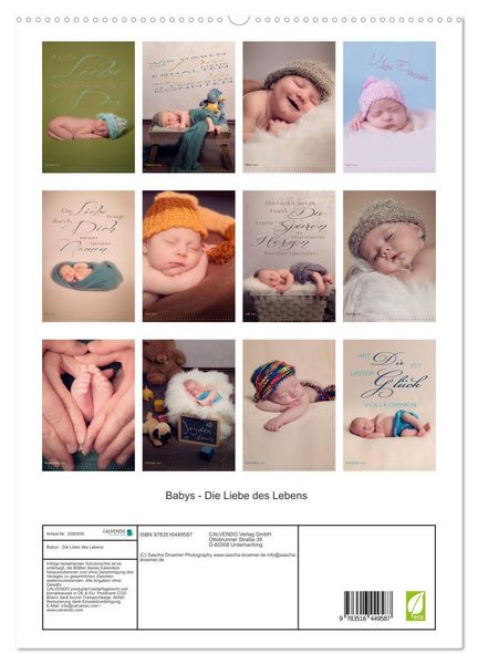 Produktbild: Babys - Die Liebe des Lebens (hochwertiger Premium Wandkalender 2026 DIN A2 hoch), Kunstdruck in Hochglanz