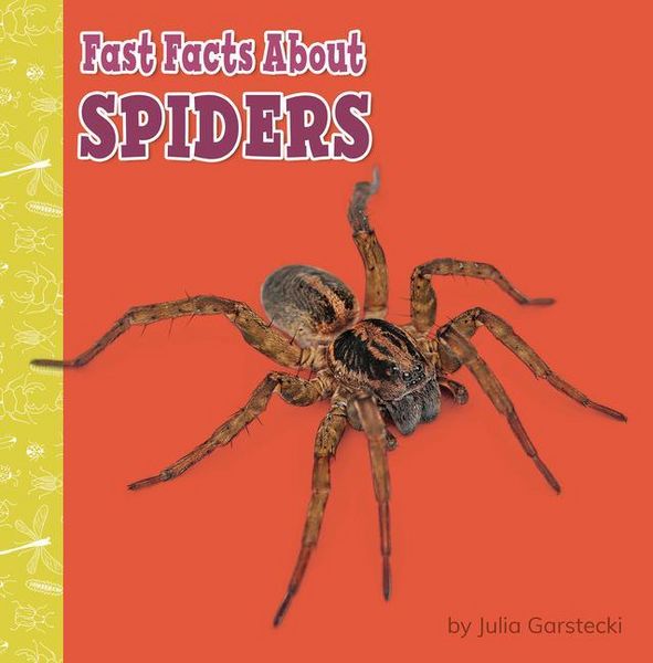 Produktbild: Fast Facts about Spiders