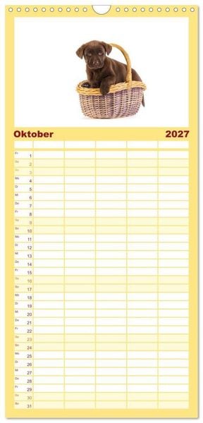 Produktbild: Familienplaner 2027 - Labrador - Welpen mit 5 Spalten (Wandkalender, 21 x 45 cm) CALVENDO