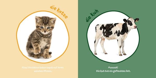 Produktbild: Baby Pixi (unkaputtbar) 183: Mein Baby-Pixi-Buggybuch: Meine ersten Tiere