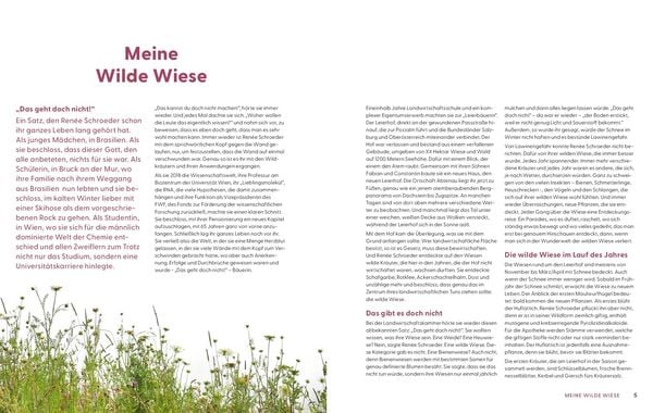 Wie Wildkräuter wirken