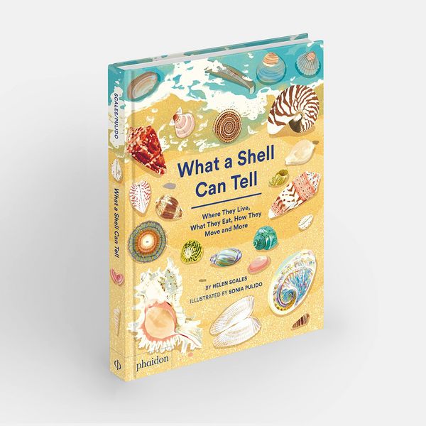 Produktbild: What A Shell Can Tell