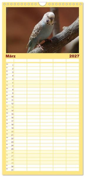 Produktbild: Familienplaner 2027 - Wellensittiche - Gefiederte Freunde mit 5 Spalten (Wandkalender, 21 x 45 cm) CALVENDO