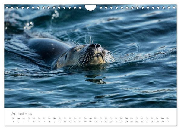Produktbild: Traumziel D&auml;nemark (Wandkalender 2026 DIN A4 quer), CALVENDO Monatskalender