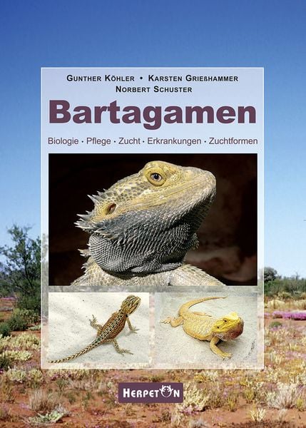 Produktbild: Bartagamen