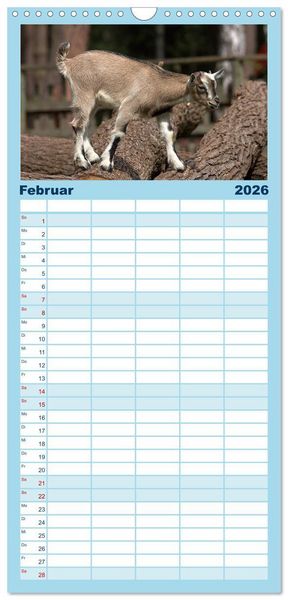 Produktbild: Familienplaner 2026 - Zwergziegen mit 5 Spalten (Wandkalender, 21 x 45 cm) CALVENDO