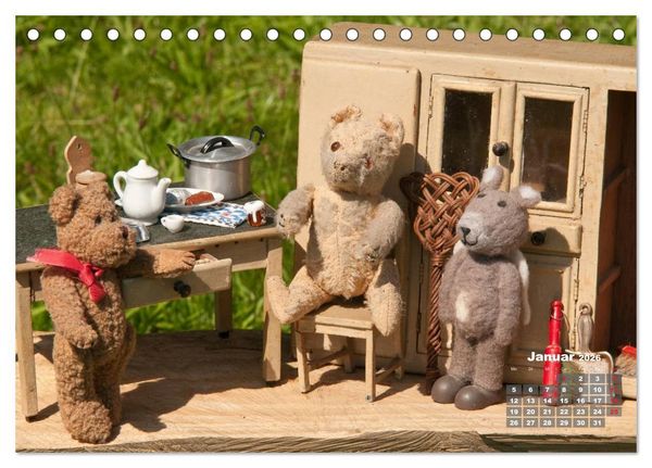 Produktbild: Geliebte B&auml;ren - Teddys (Tischkalender 2026 DIN A5 quer), CALVENDO Monatskalender