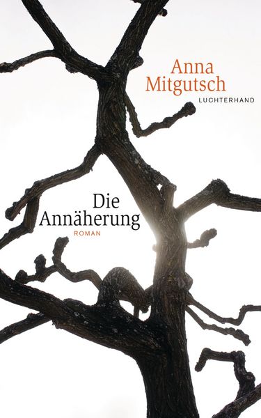 Produktbild: Die Ann&auml;herung