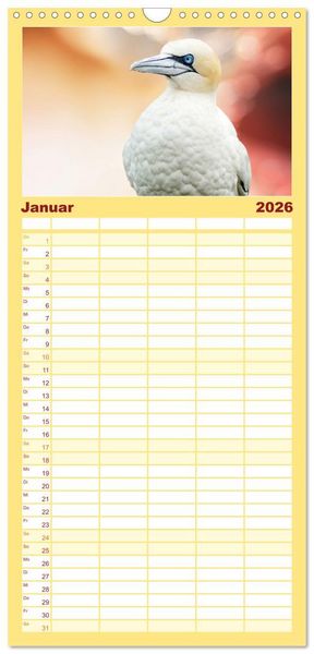 Produktbild: Familienplaner 2026 - Die bunte Welt der V&ouml;gel mit 5 Spalten (Wandkalender, 21 x 45 cm) CALVENDO